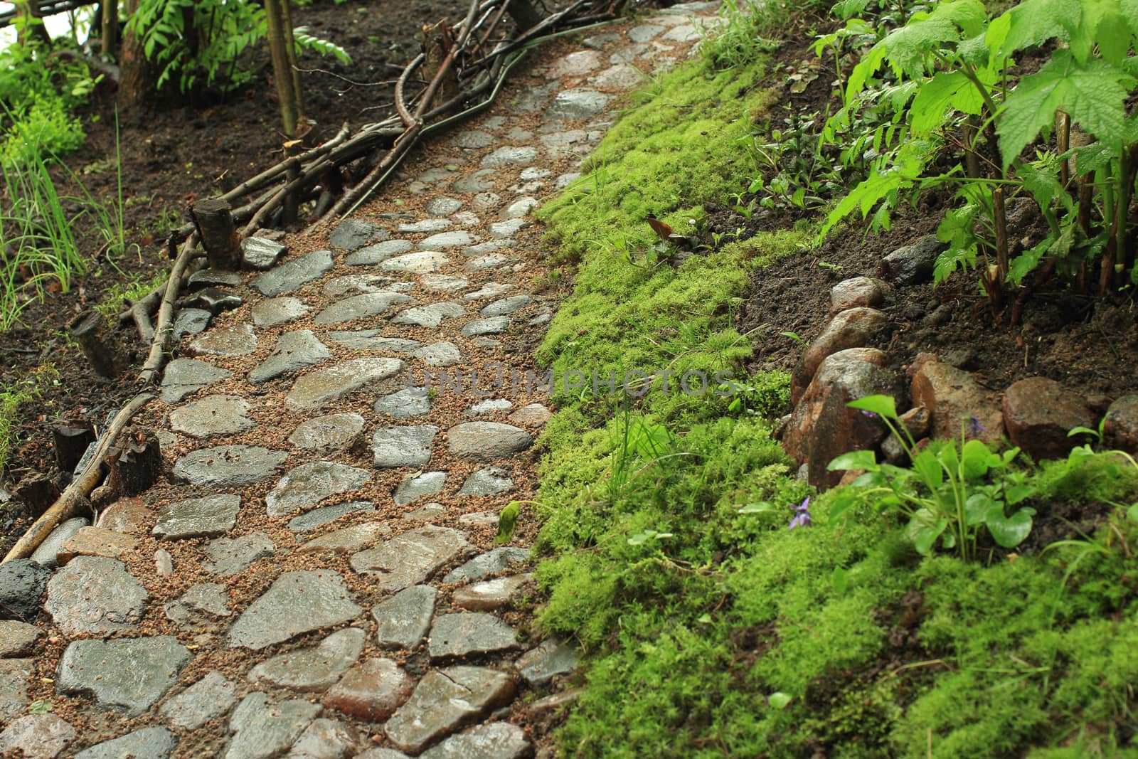 Old cobblestone footpath in the garden 