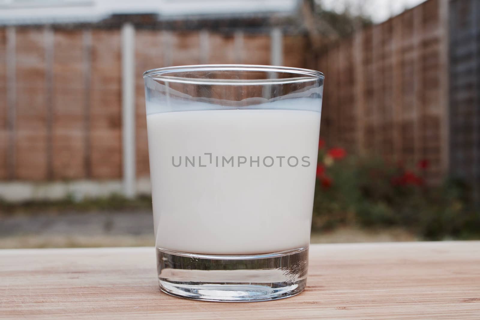 Tasty and fresh milk in glass. Green and red concept.