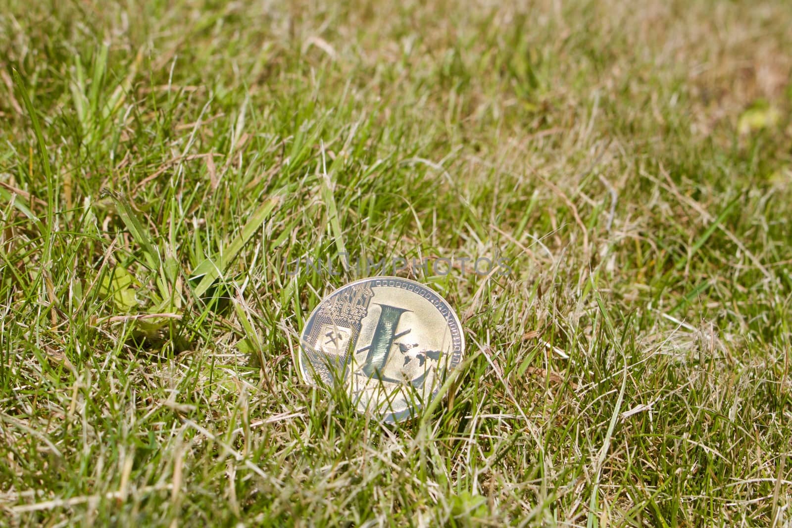 Digital currency physical gold litecoin coin in green grass.