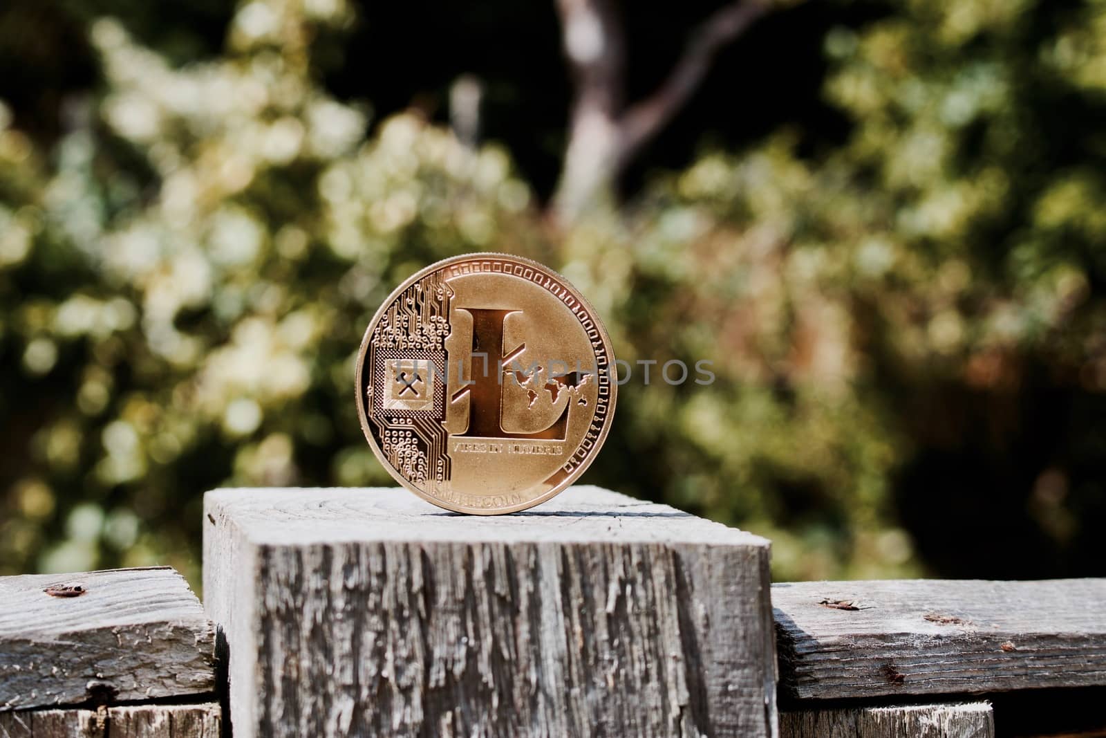 Digital currency physical gold litecoin coin on the wooden fence in the garden.