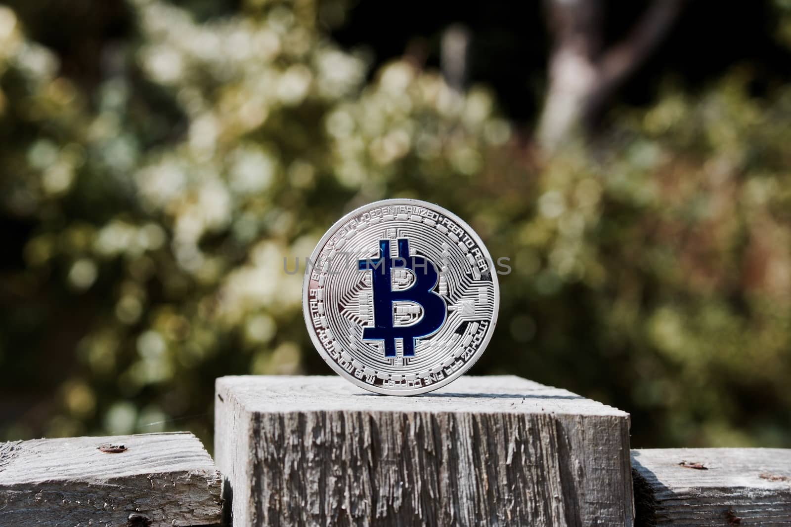Cryptocurrency physical blue bitcoin coin on the wooden fence in garden.