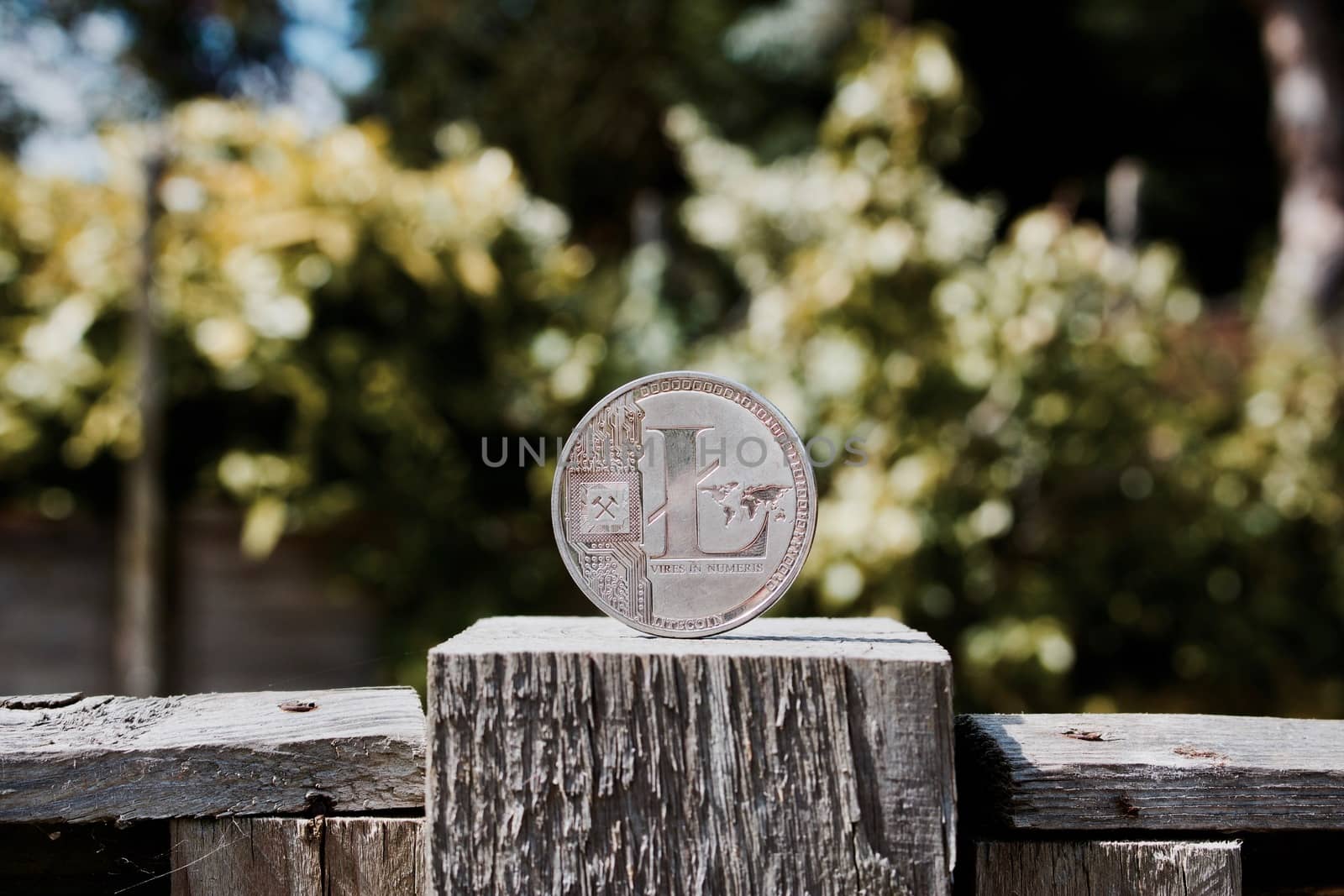 Digital currency physical silver Litecoin coin in the garden on the wooden fence.