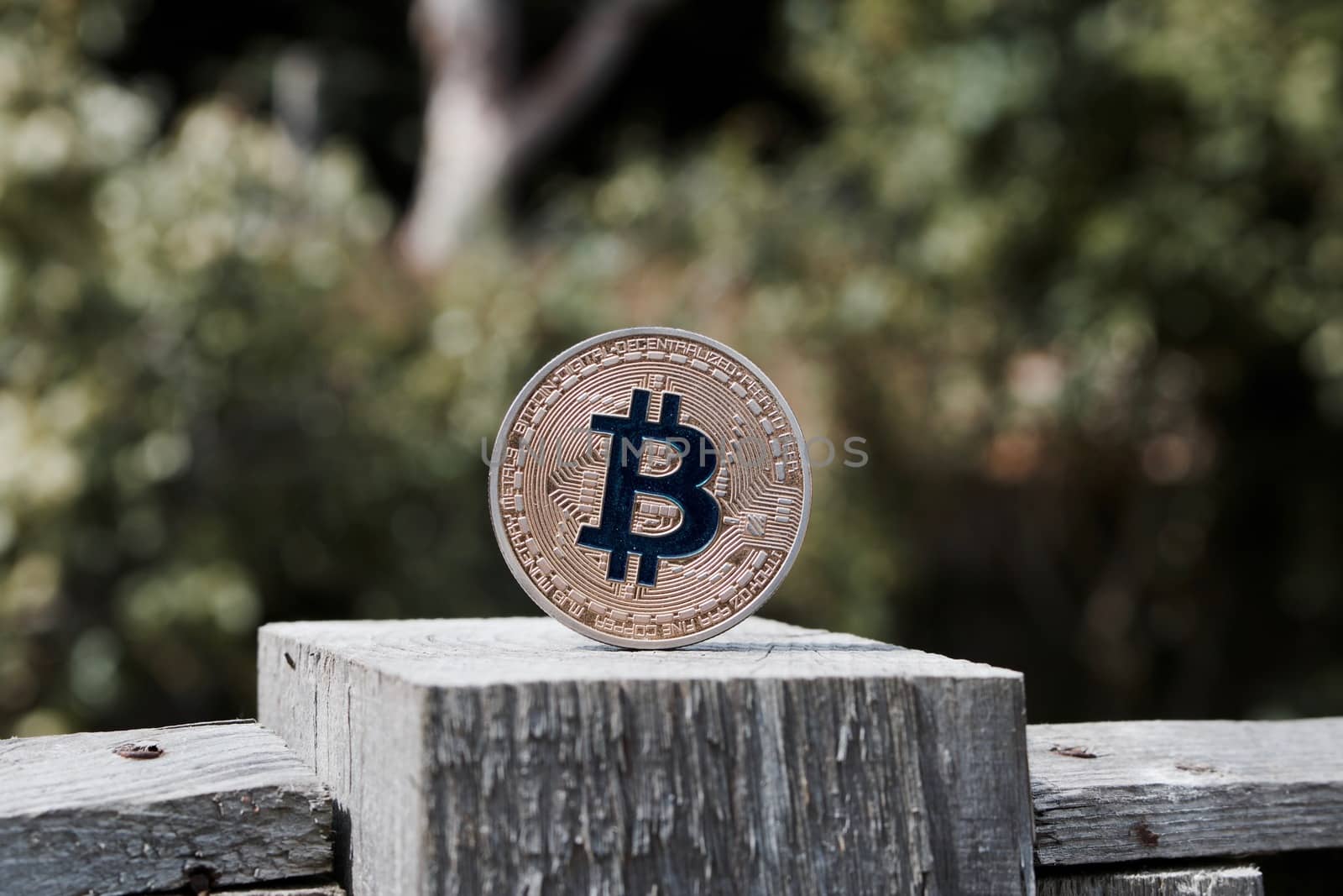 Digital currency physical gold bitcoin coin with blue sign on the wooden fence in garden.