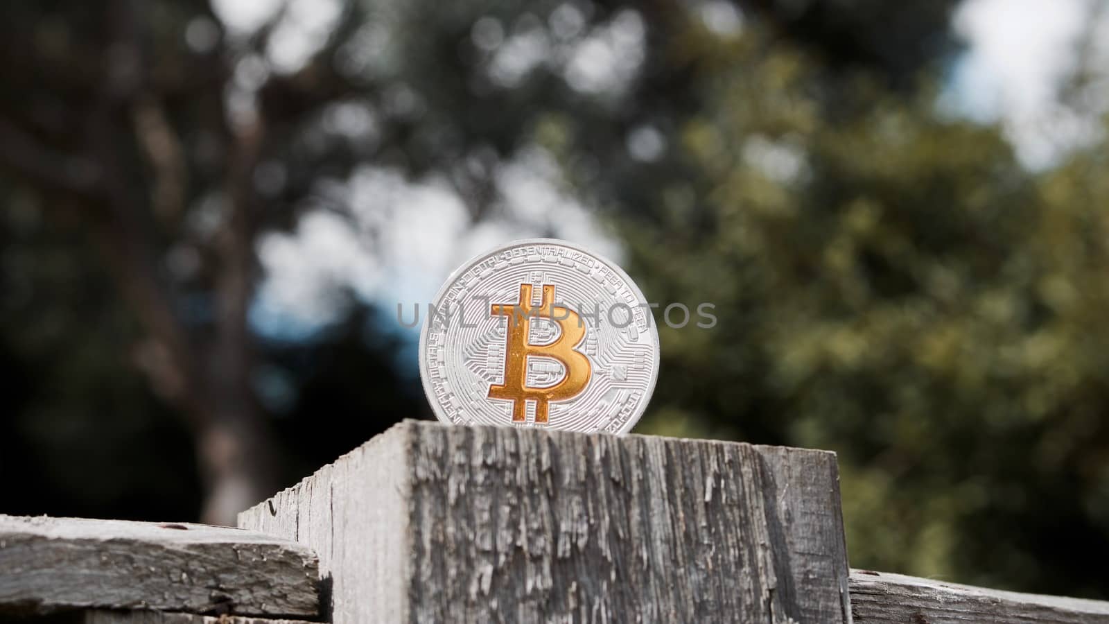 Digital currency physical silver bitcoin coin with yellow sign in garden.