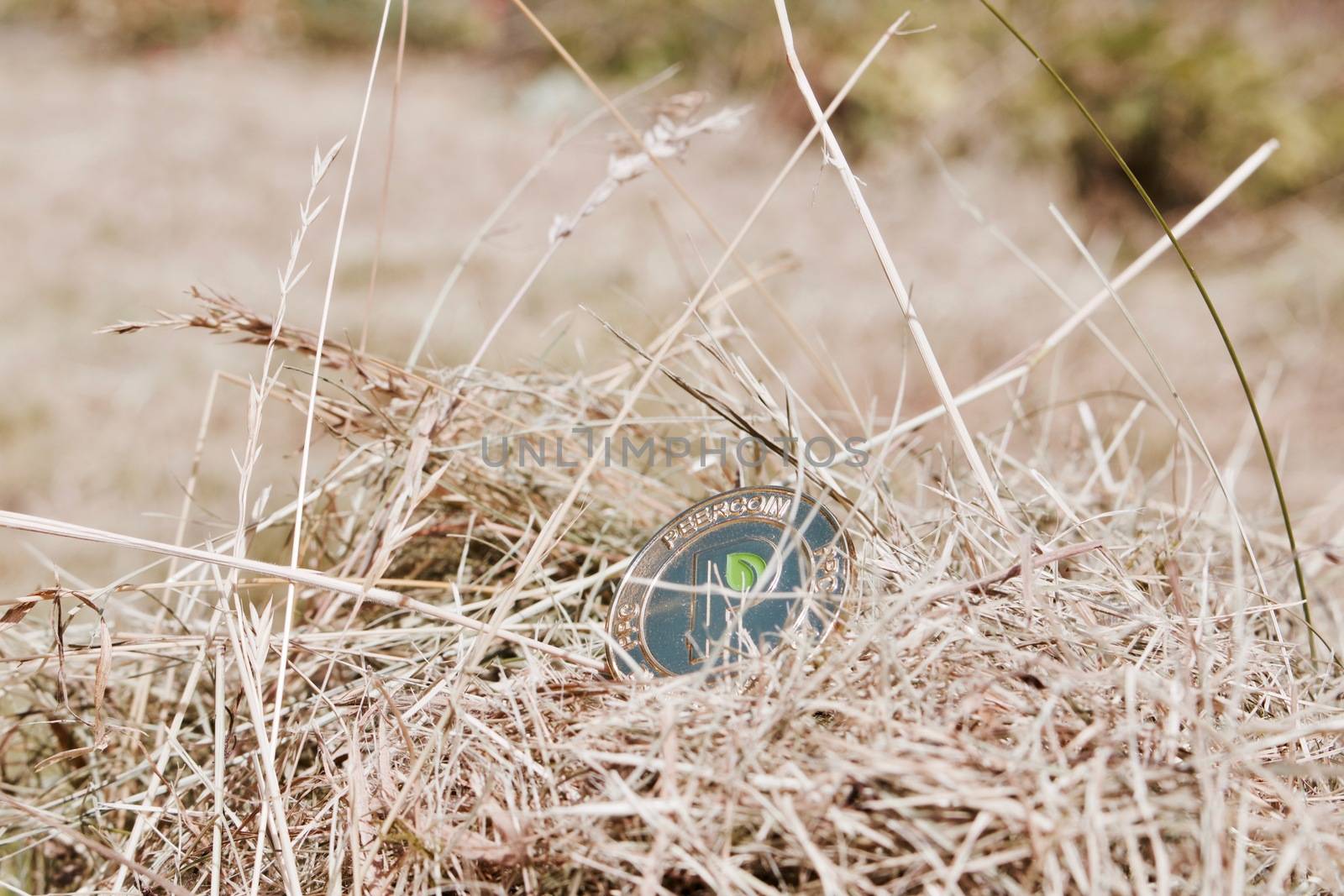 Digital currency physical gold peercoin coin with green leaf in dry grass