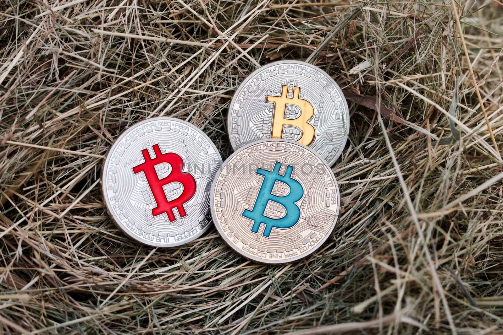Digital currency physical silver and gold coins in grass at garden.