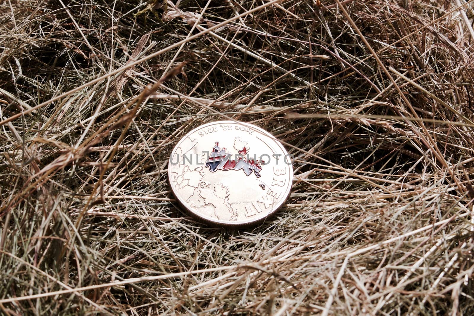 Europe leaving. Gold brexit coin with a british map in grass at garden.