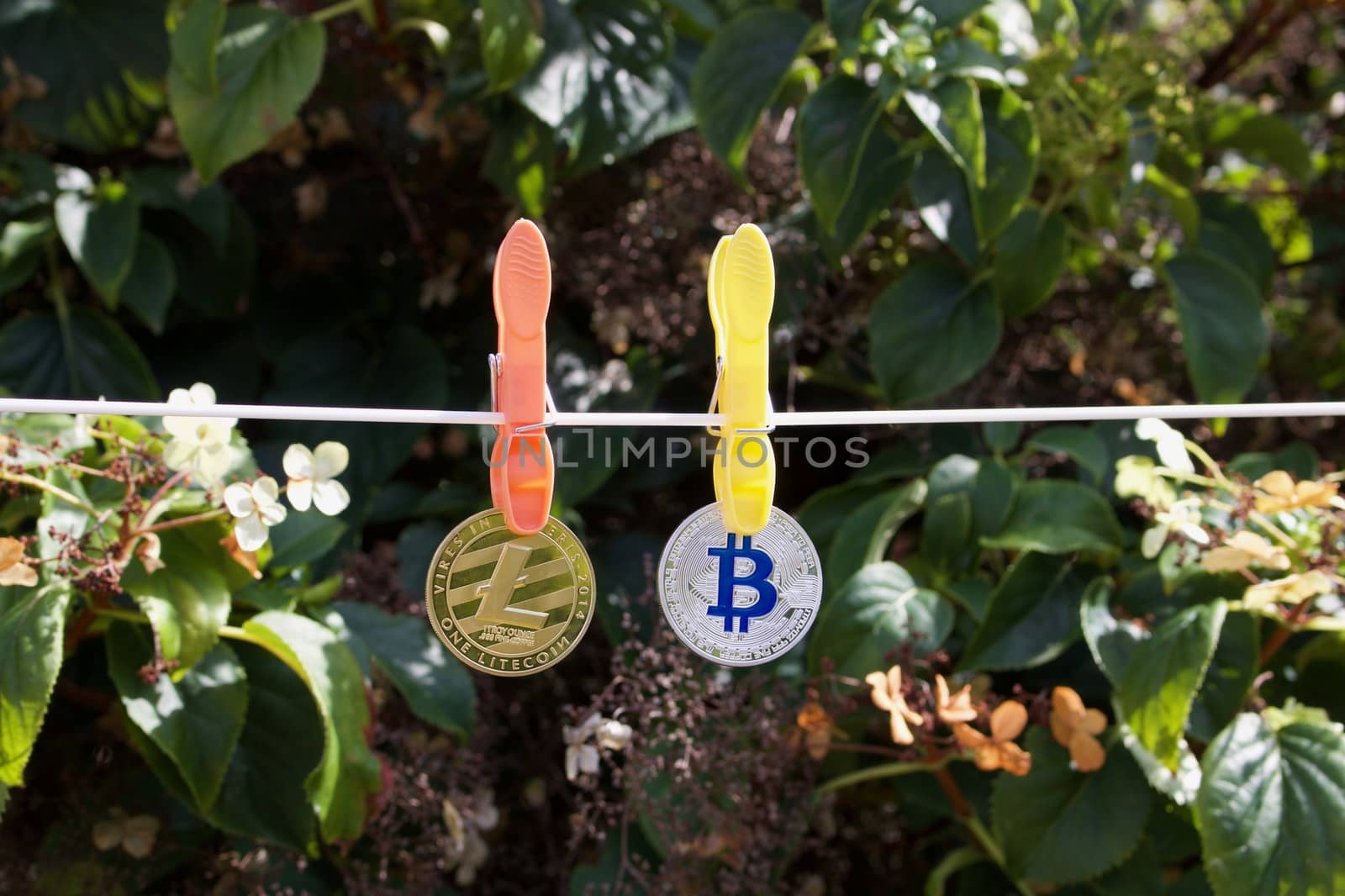 Digital currency physical gold litecoin coin and silver bitcoin on the line.