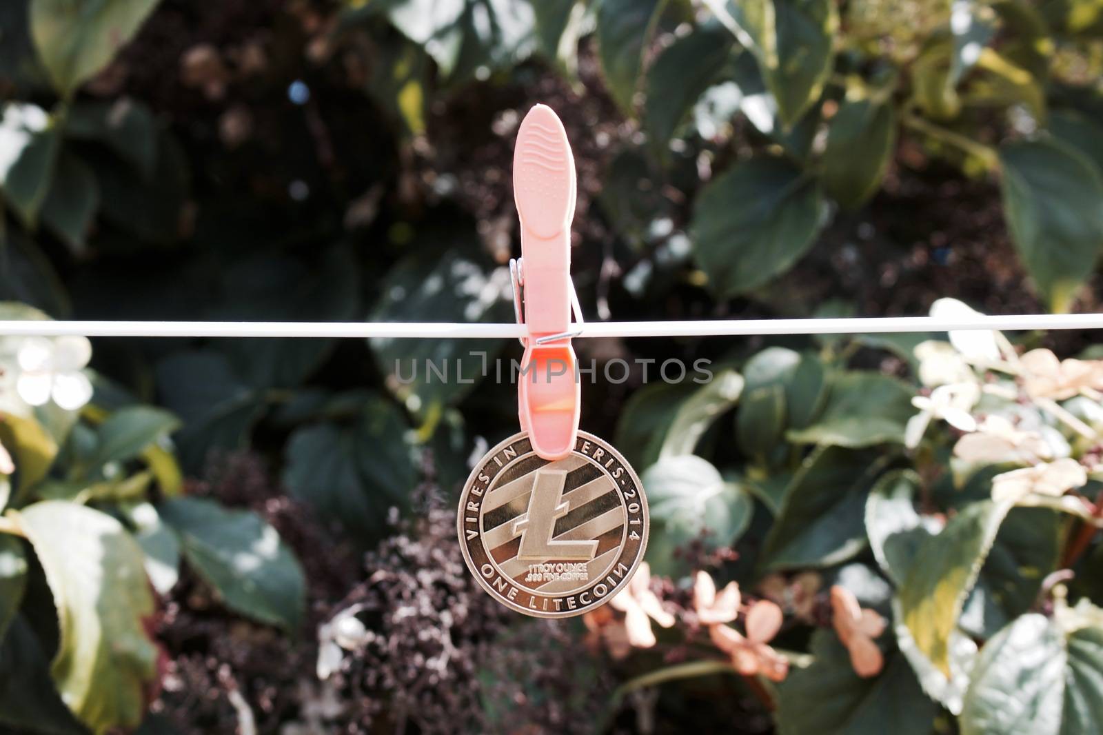 Digital currency physical gold litecoin coin on the white line with laundry clips.