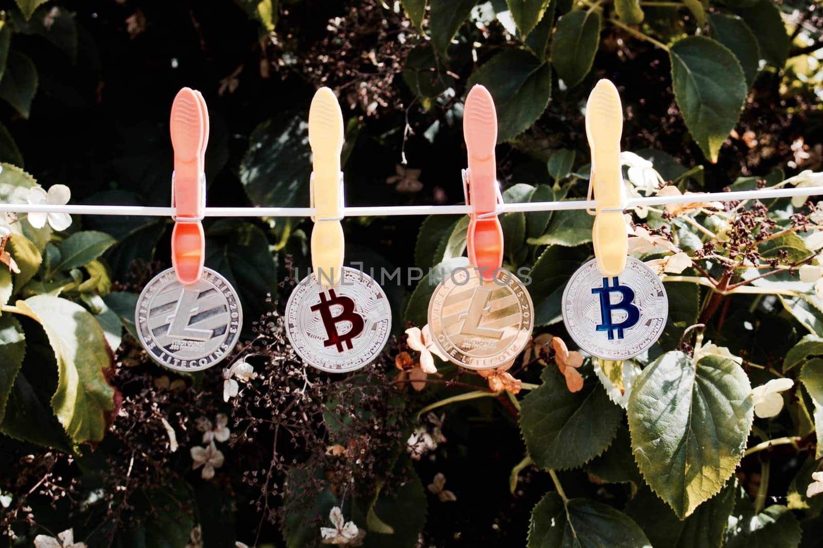 Digital currency silver and gold bitcoins and litecoins near green tree.