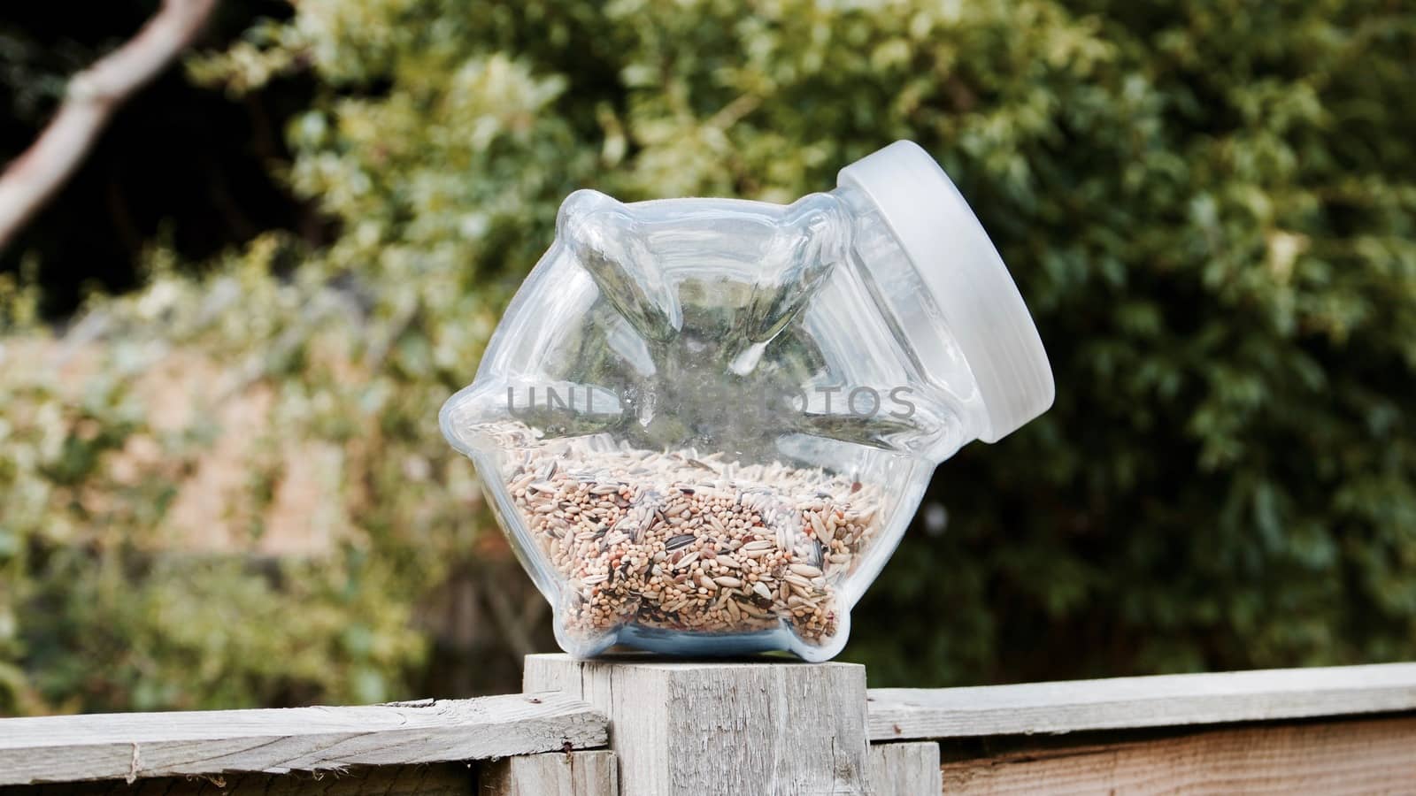 Fresh small seeds in glass jar in the garden. Green natural concept.