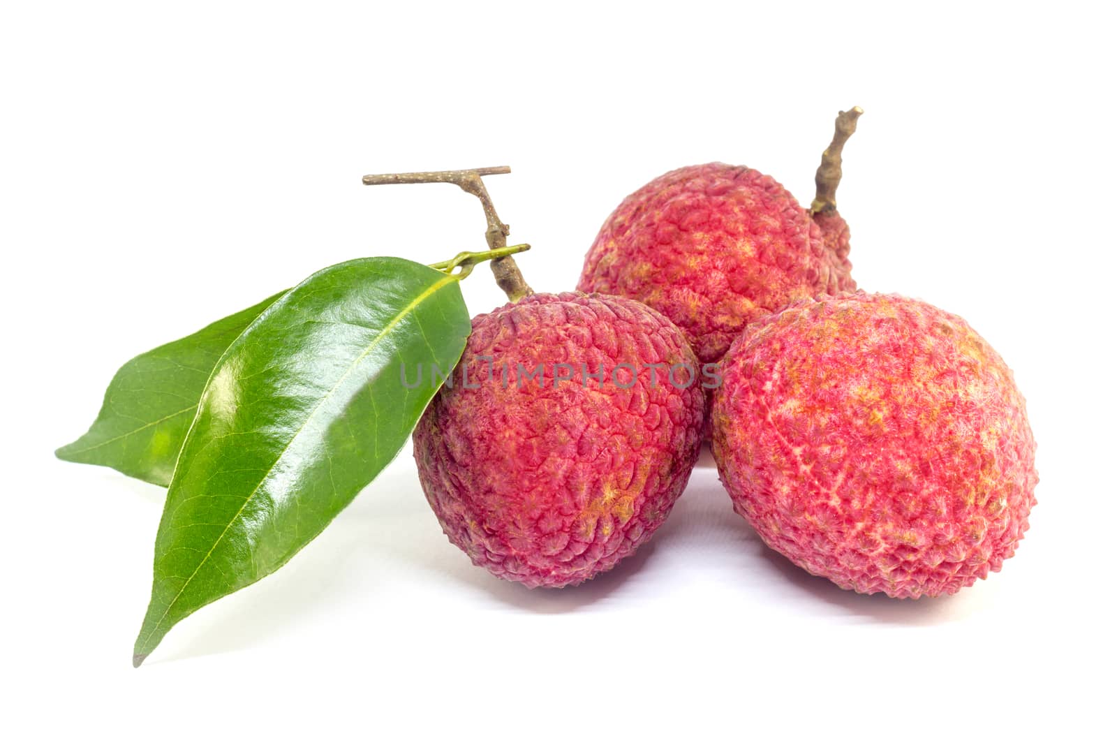 fresh fruit lychee on white background by rakoptonLPN