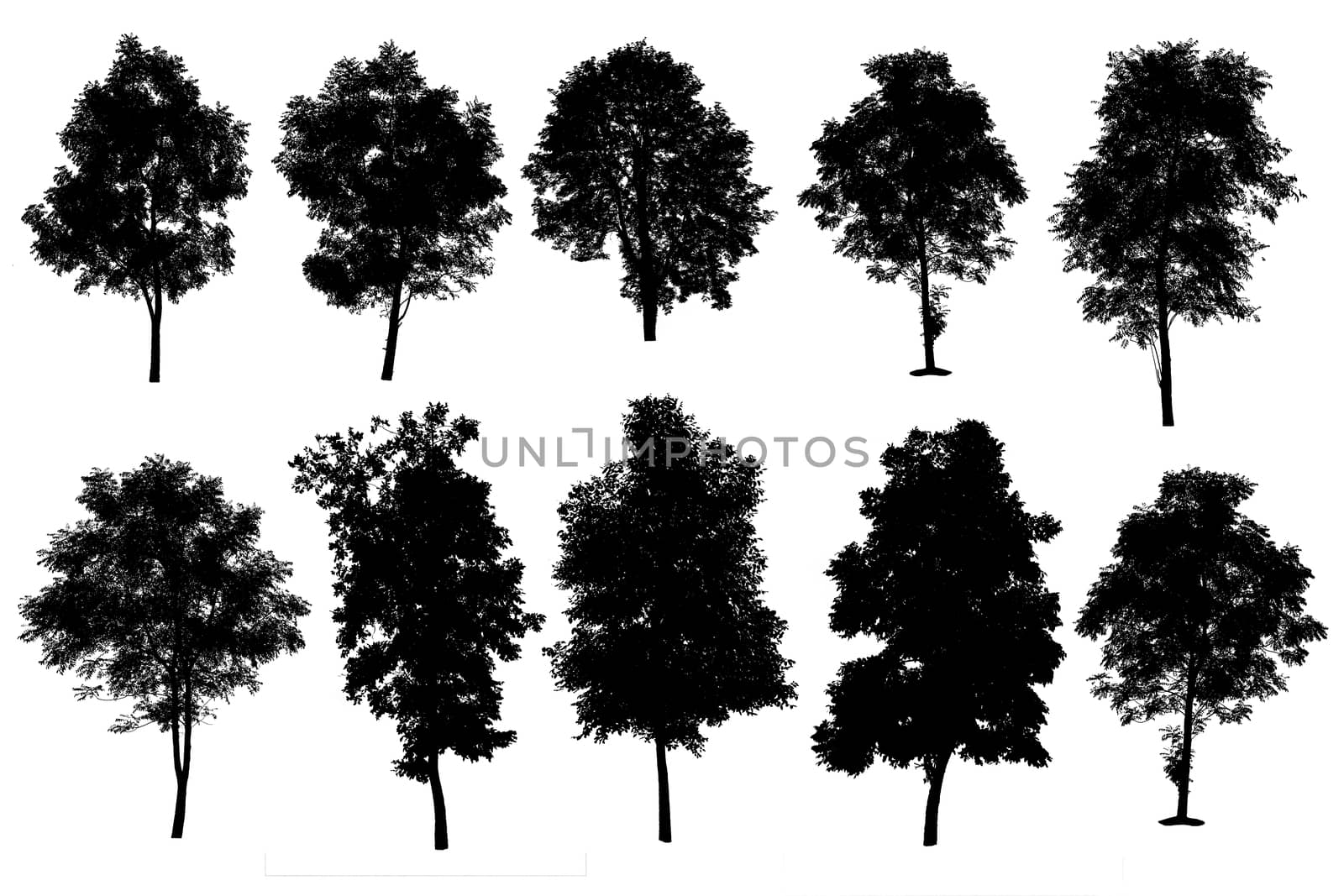 collection of silhouette of trees isolated on white background by rakoptonLPN
