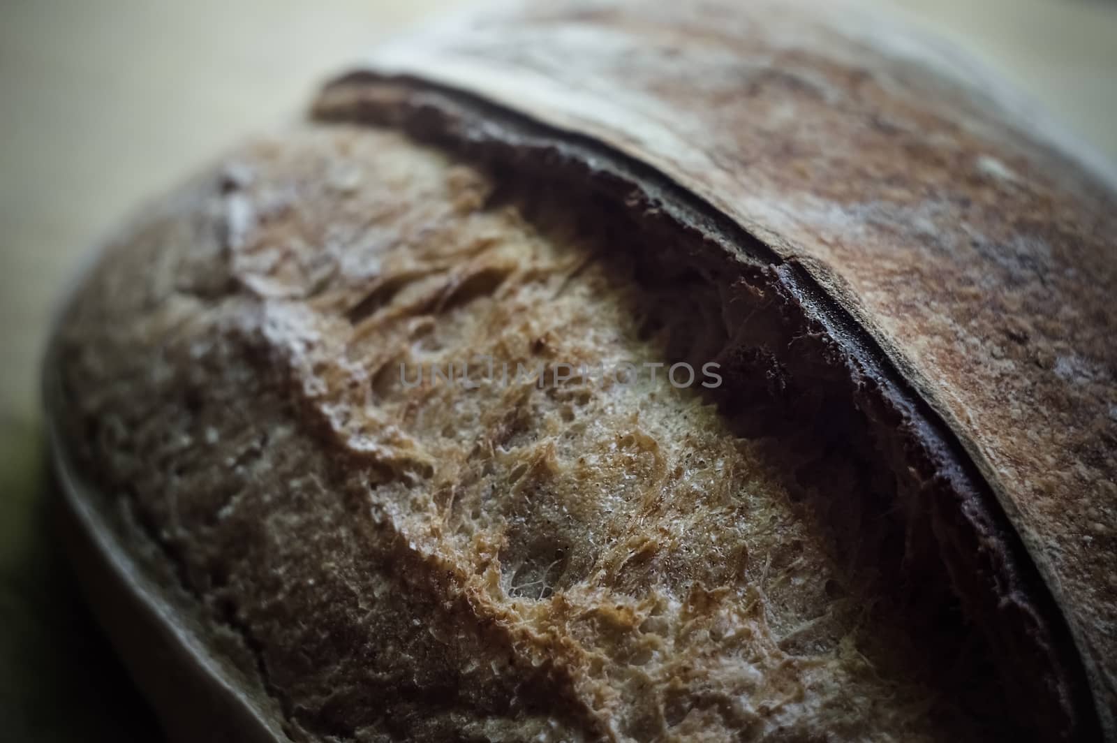 Close-up of whole wheat crusty artisan bread by Milovan