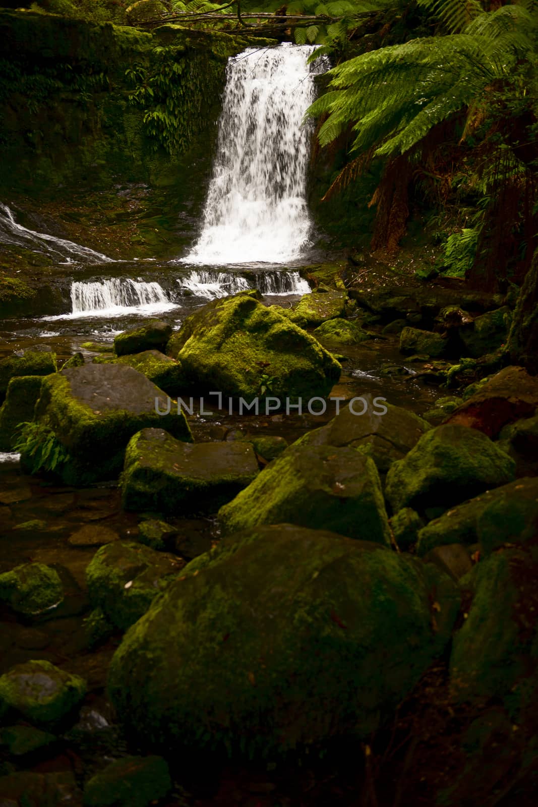 Horseshoe Falls in Mount Field National Park. by artistrobd