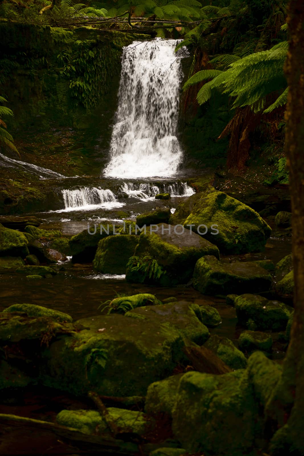 Beautiful Horseshoe Falls in Mount Field National Park, Tasmania, Australia.