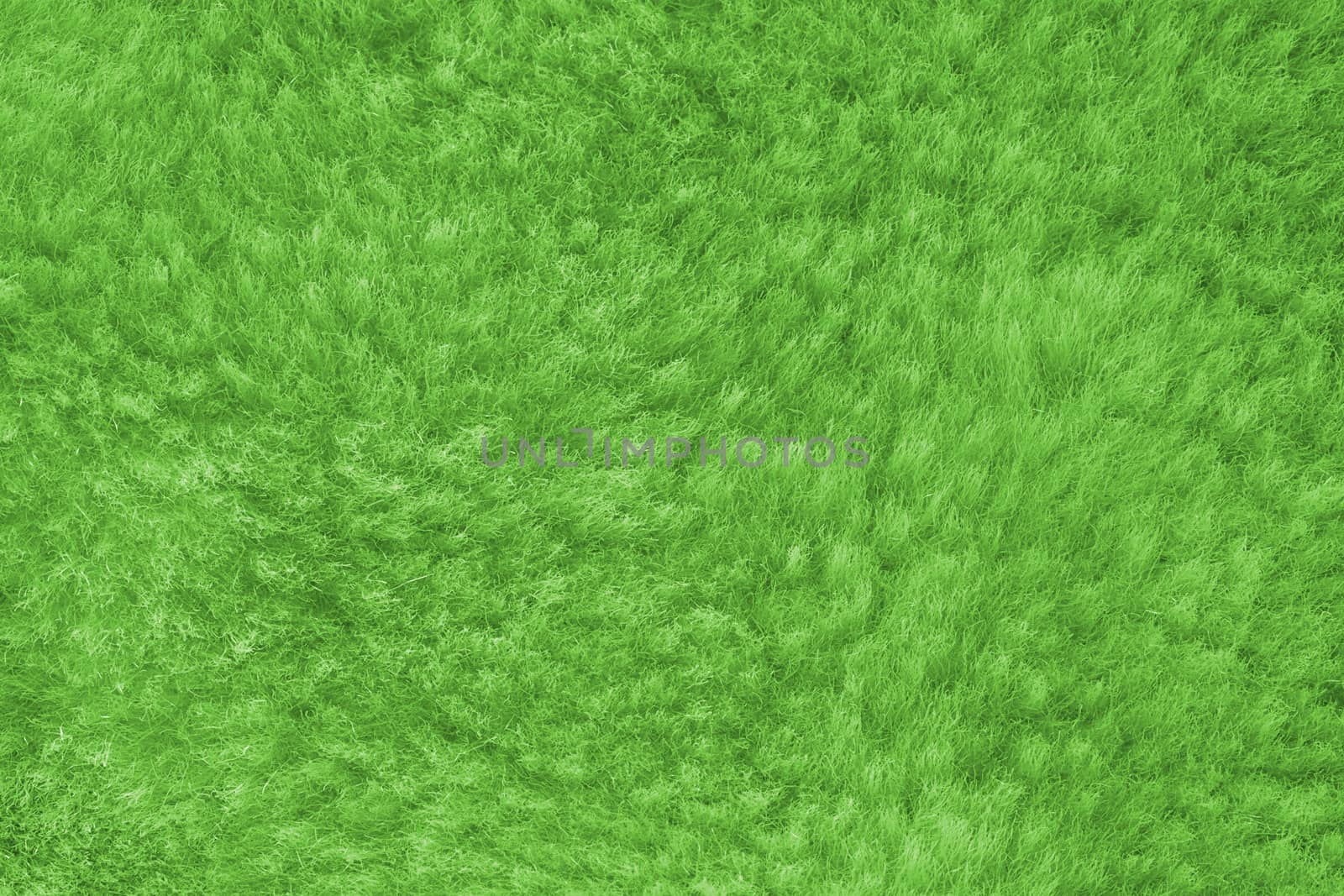 green shaggy skin of an animal closeup texture, Fur Texture by ivo_13