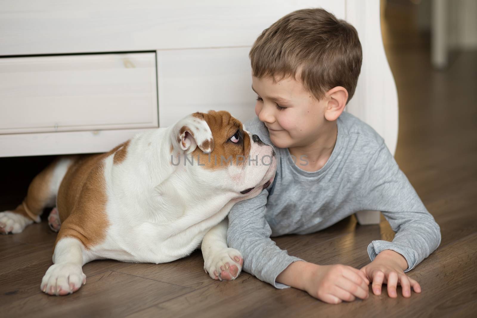 Cute boy plays on the floor on a carpet with puppies of English bulldog.