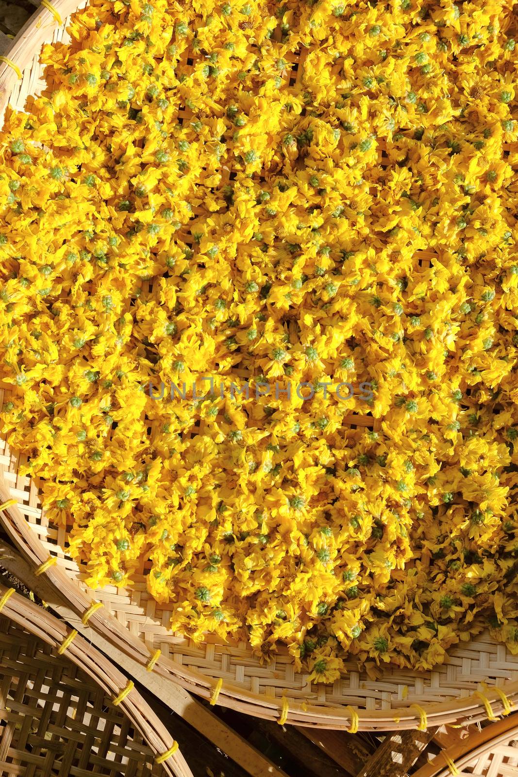 Dried chrysanthemum flowers