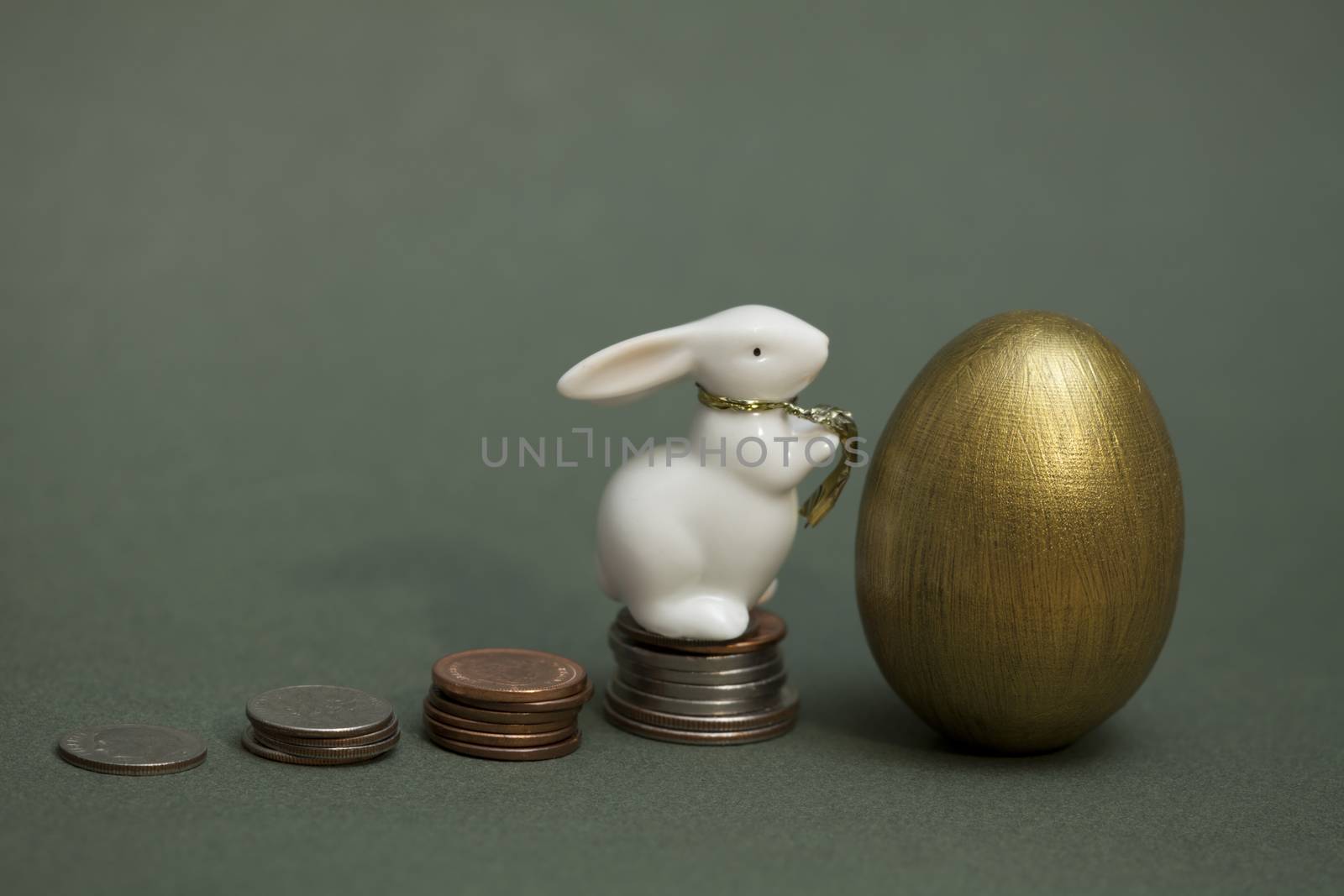 coins gold egg and White Rabbit, a conceptual image growing profits, income from investments, success, gain, wealth, pensions and savings. copy space.