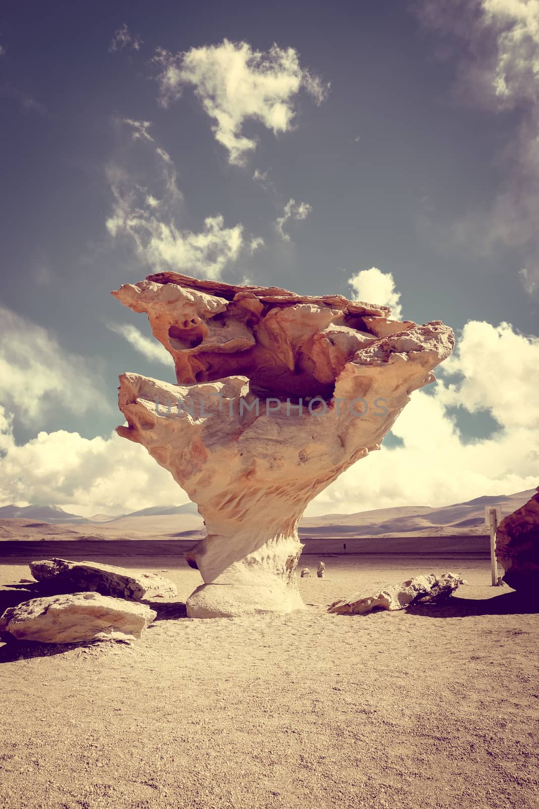 Arbol de Piedra in Siloli desert, sud Lipez reserva Eduardo Avaroa, Bolivia