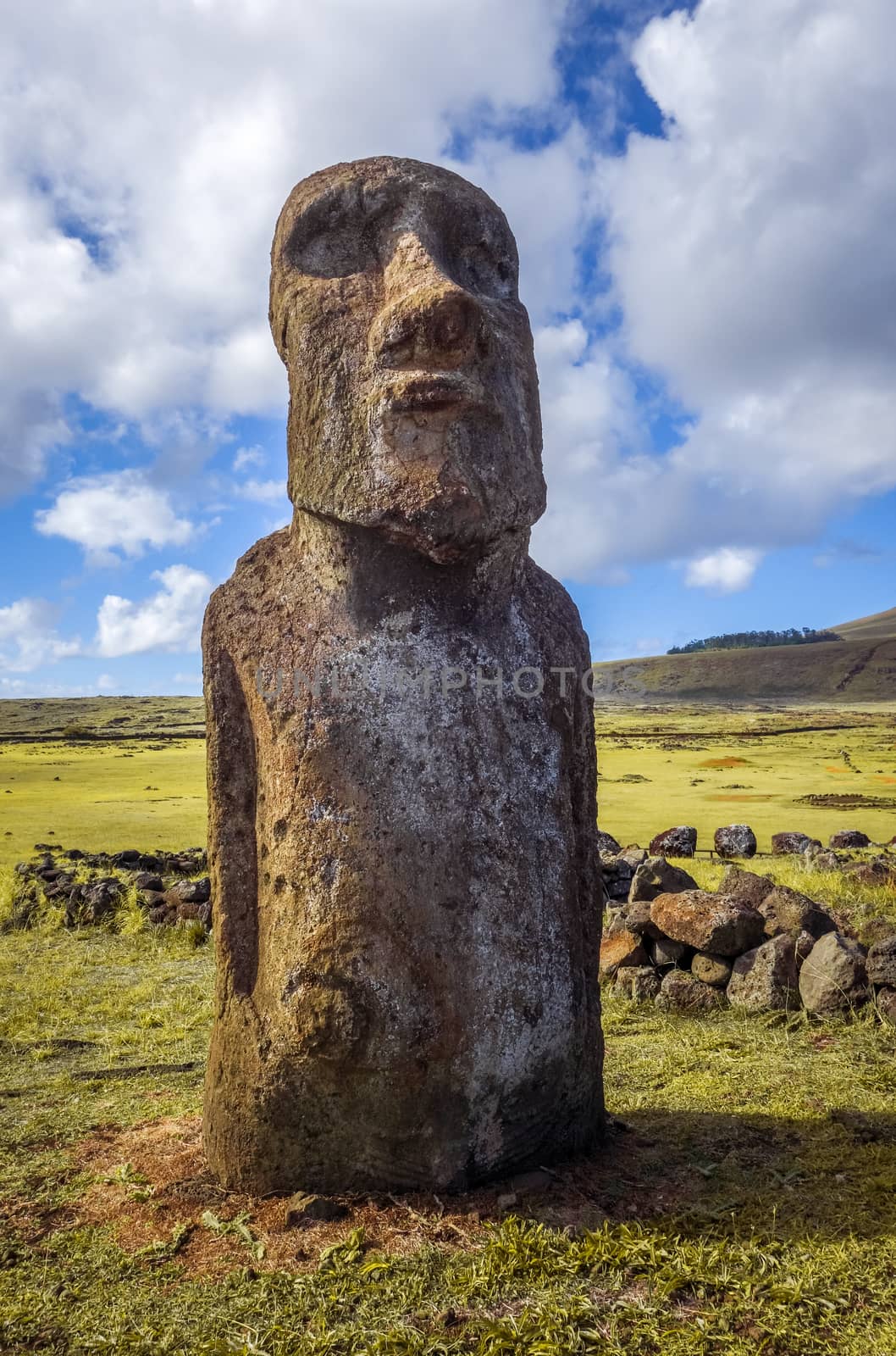 Moai statue, ahu Tongariki, easter island by daboost