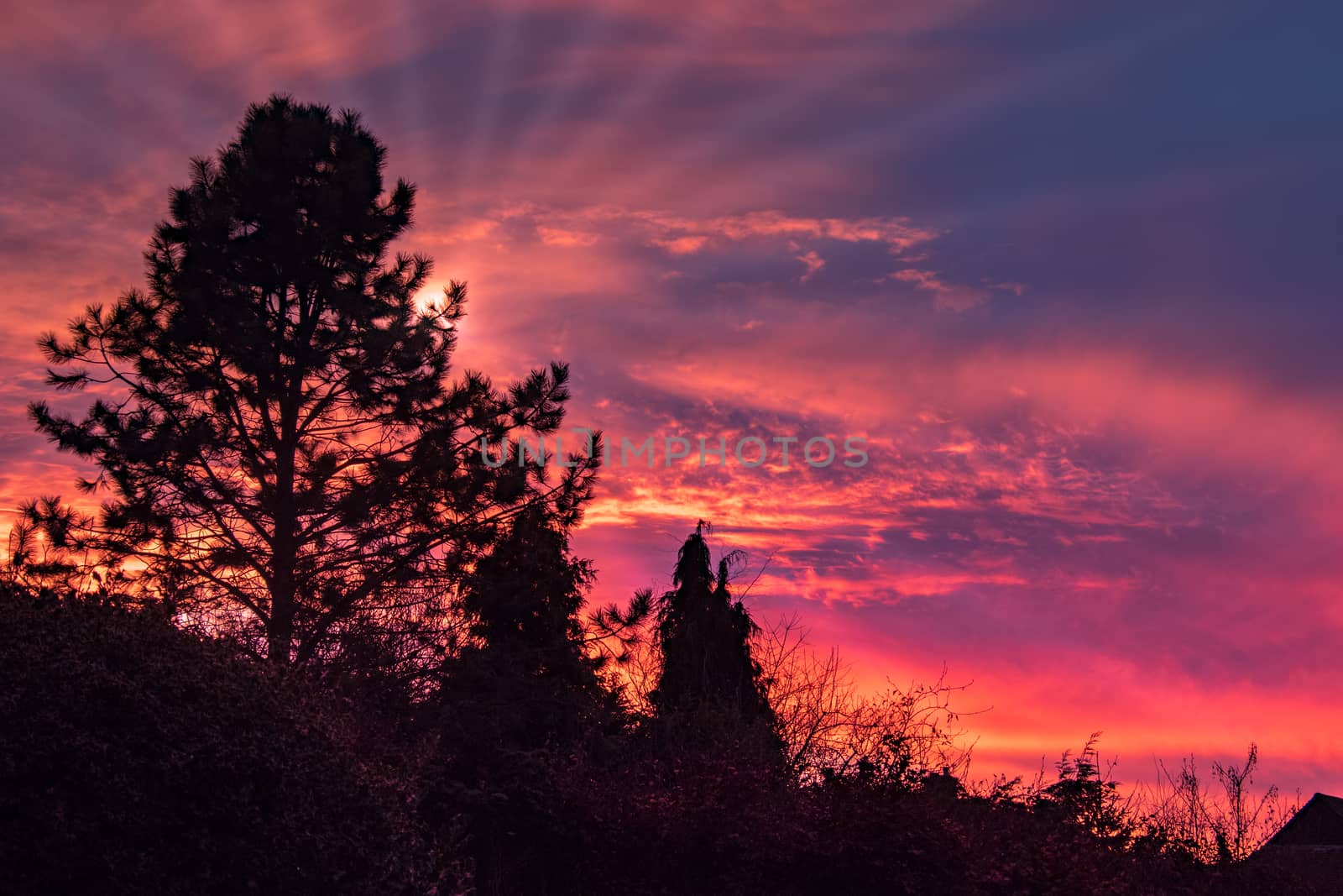 Colourful Sunset over East Grinstead by phil_bird