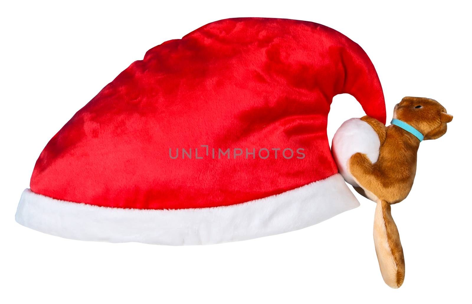 Santa Claus red hat isolated on white background with clipping path