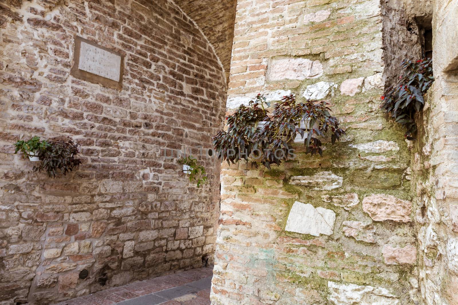 Streets and alleys in the wonderful town of Assisi (Italy)