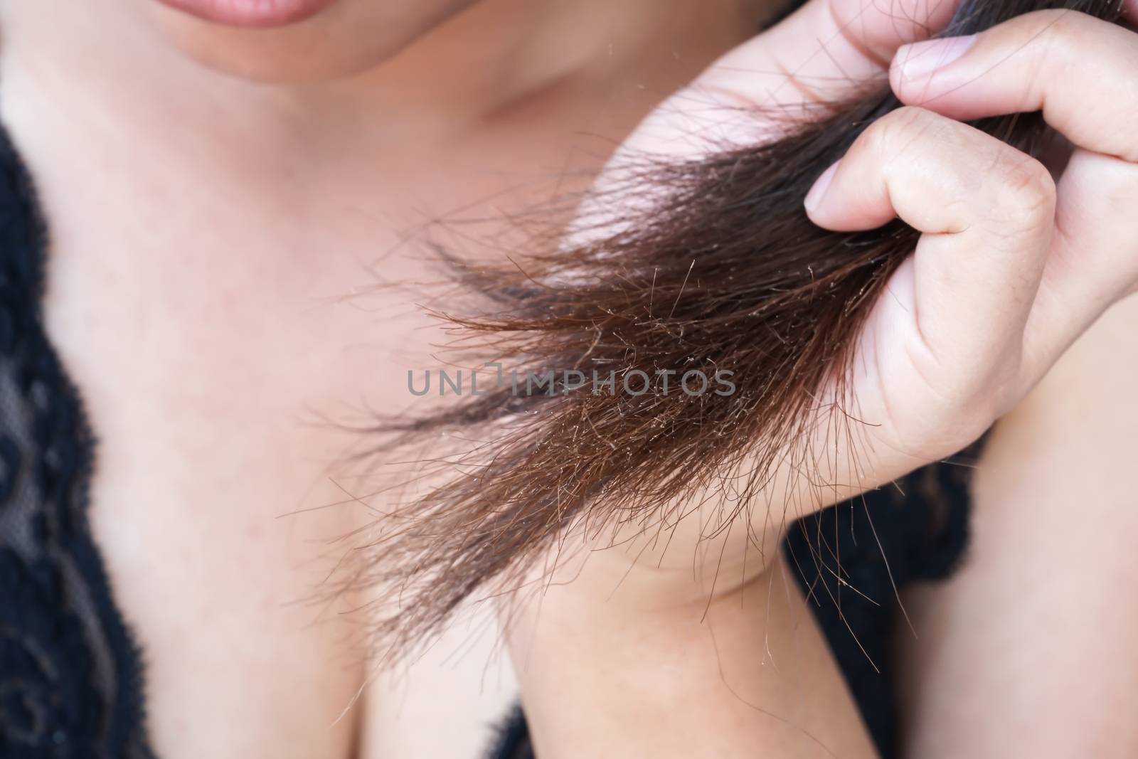 Closeup woman serious damaged hair problem for health care shampoo and beauty product concept, selective focus