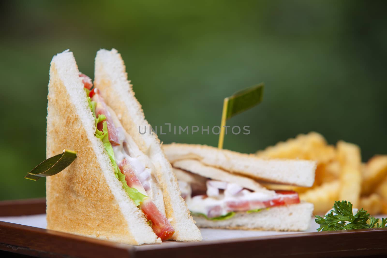 Healthy sandwich made of a fresh salad and tomatoTasty and fresh sandwiches on green background.