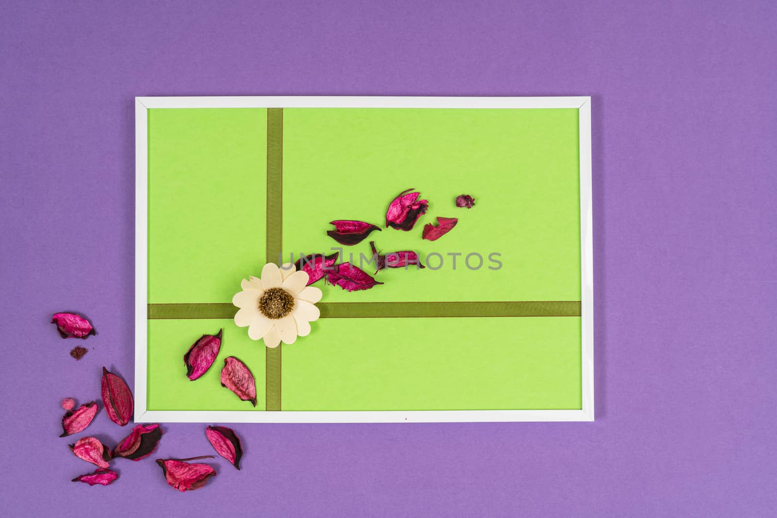 composition with dry flowers on a colored background