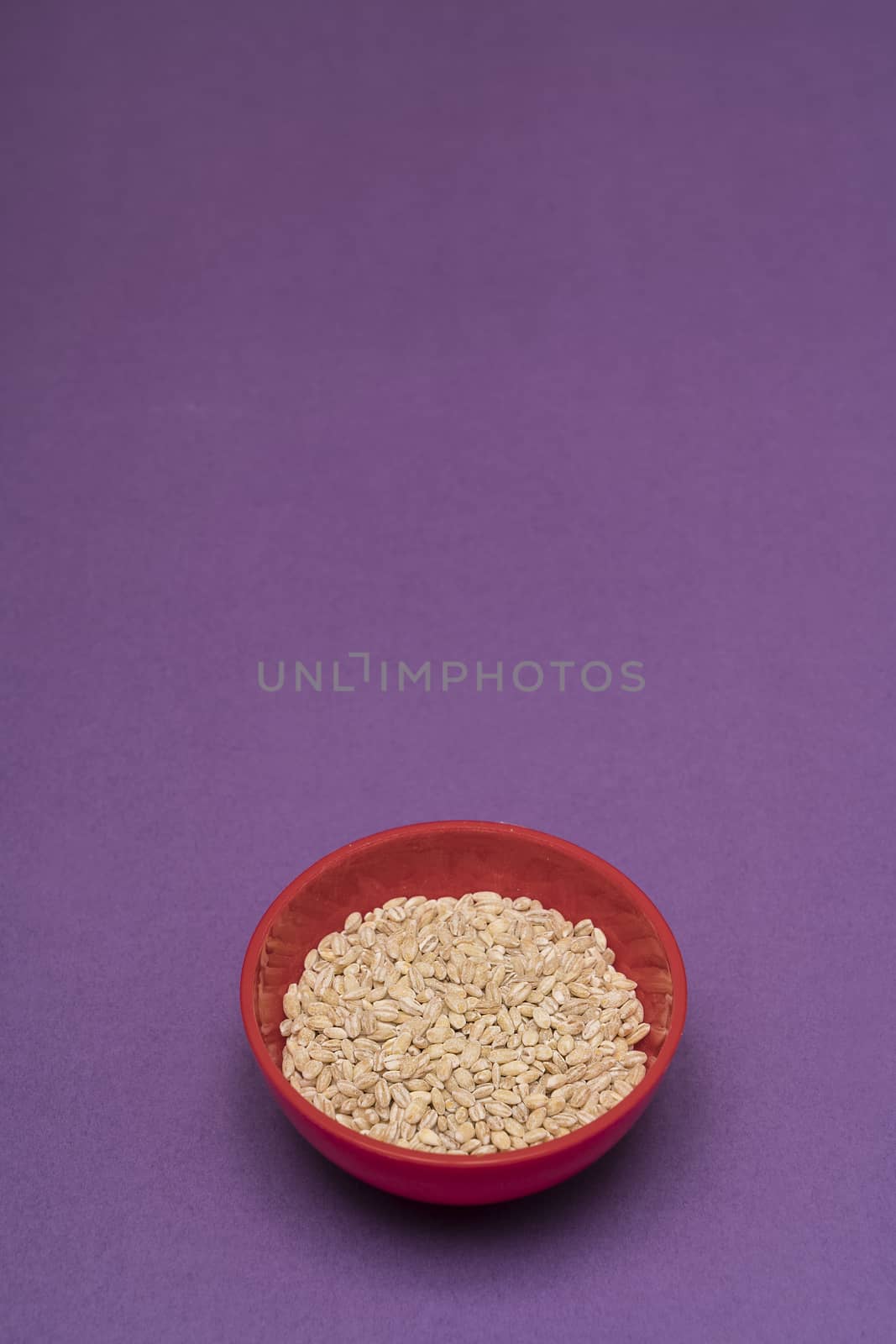 Pearl Barley in a bowl by sergiodv