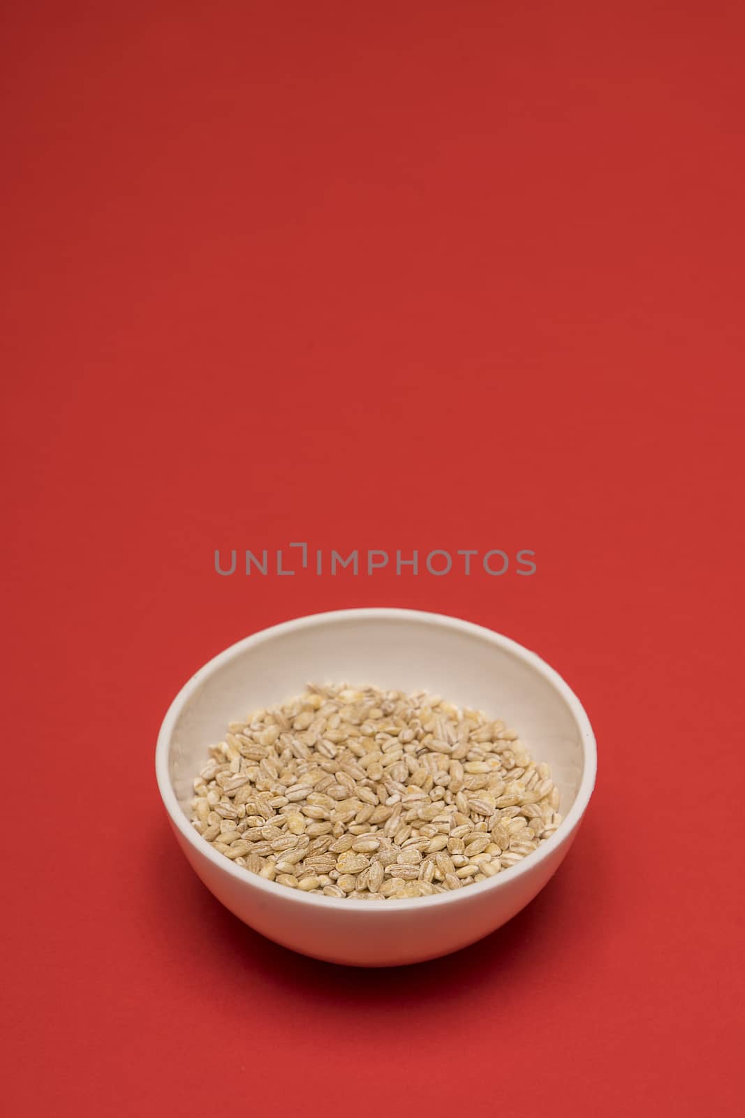 pearl barley a bowl on a colored background