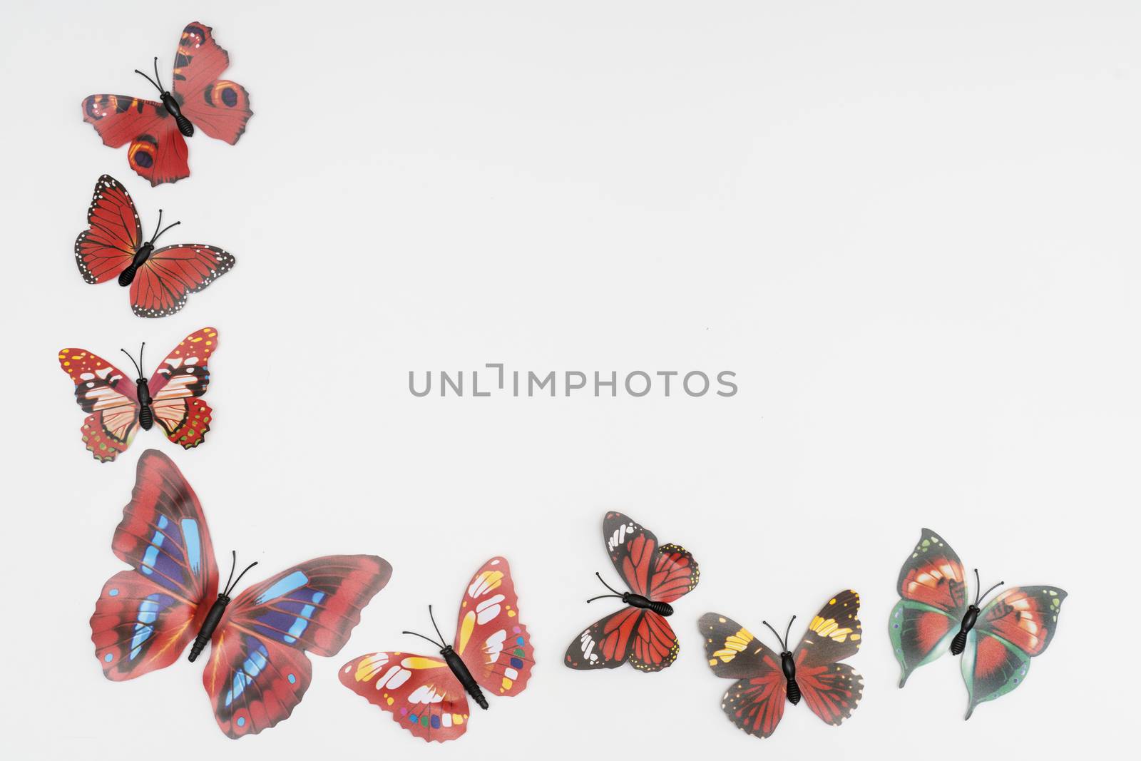decorative butterflies on a white background