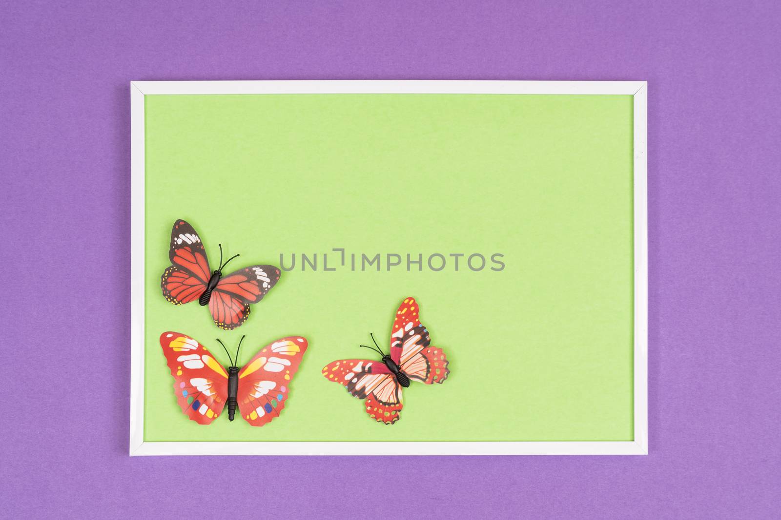 Decorative butterflies by sergiodv