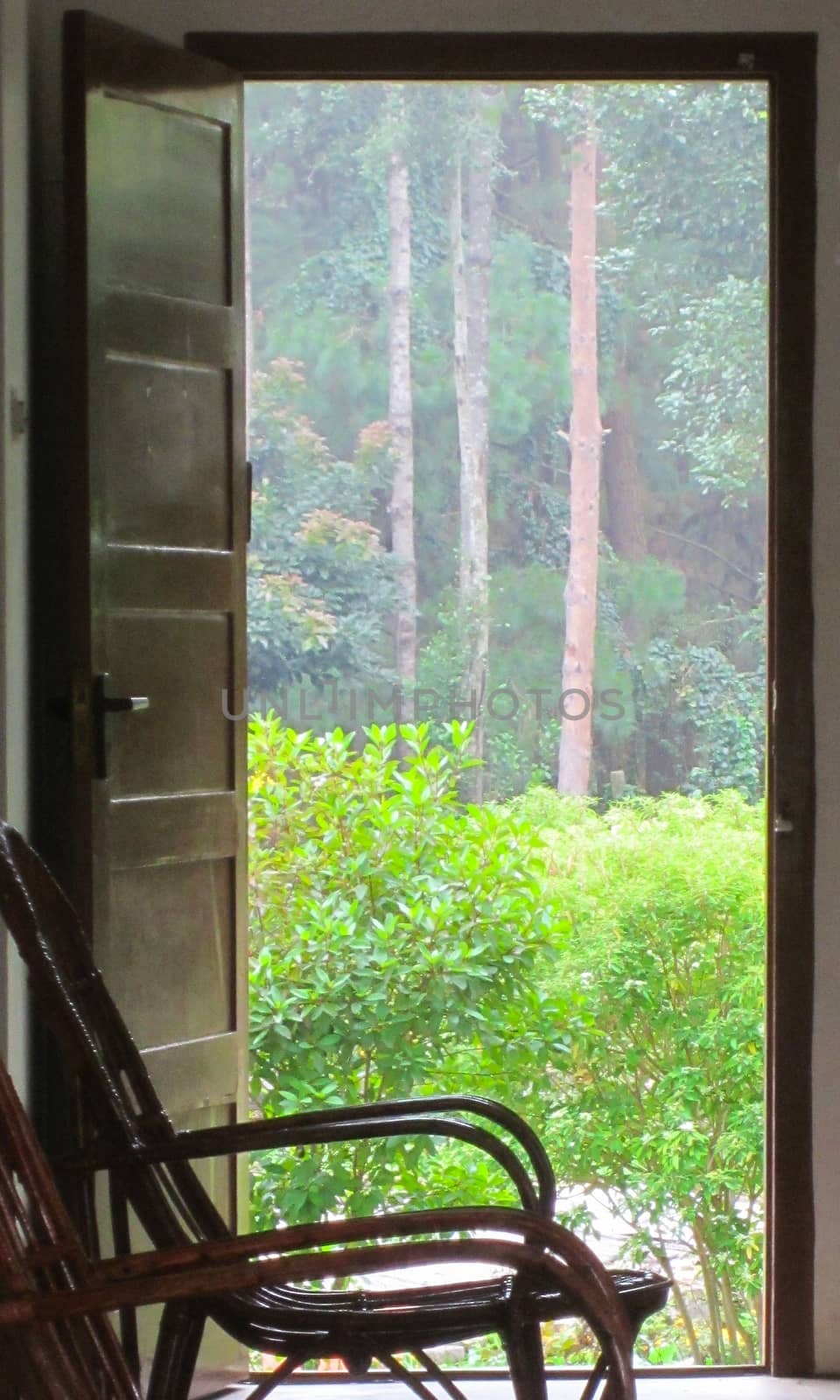 Open door with a chair in front leads to a wooden backyard with green bushes on a misty day.