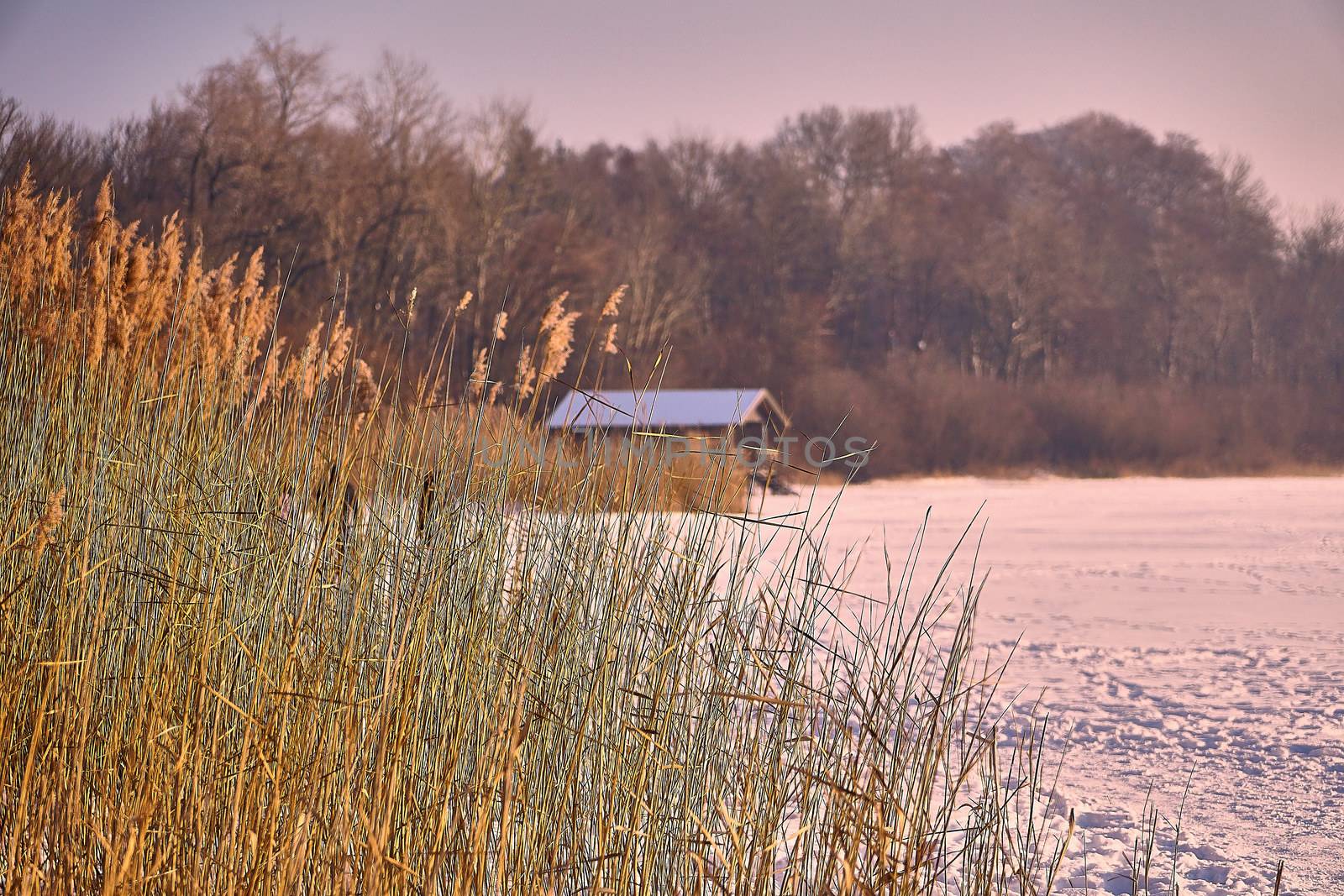 House on the Chiemsee in bavaria