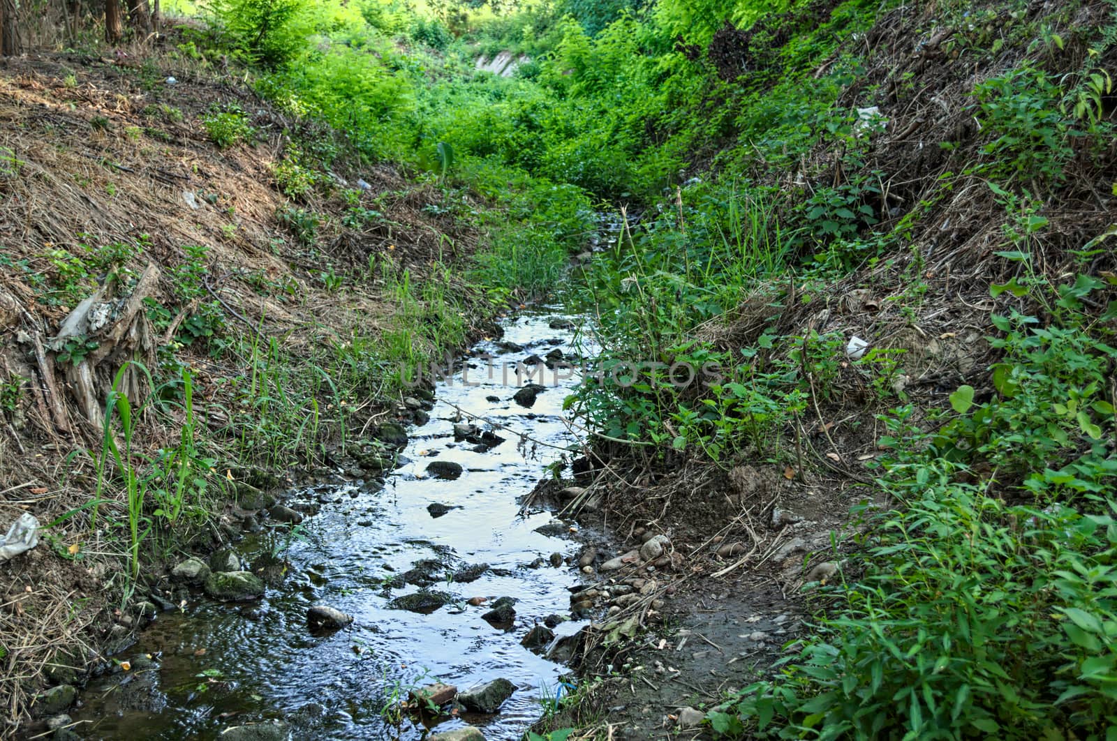 Small mountain water stream, flowing through woods