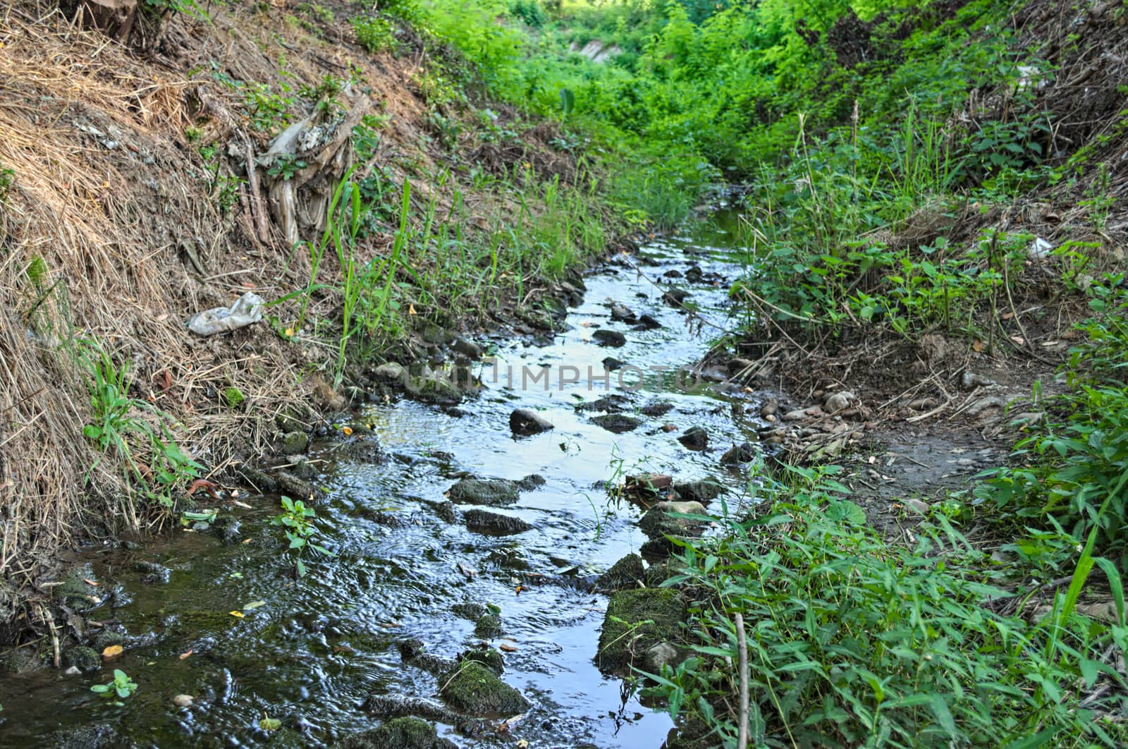 Small mountain water stream, flowing through woods