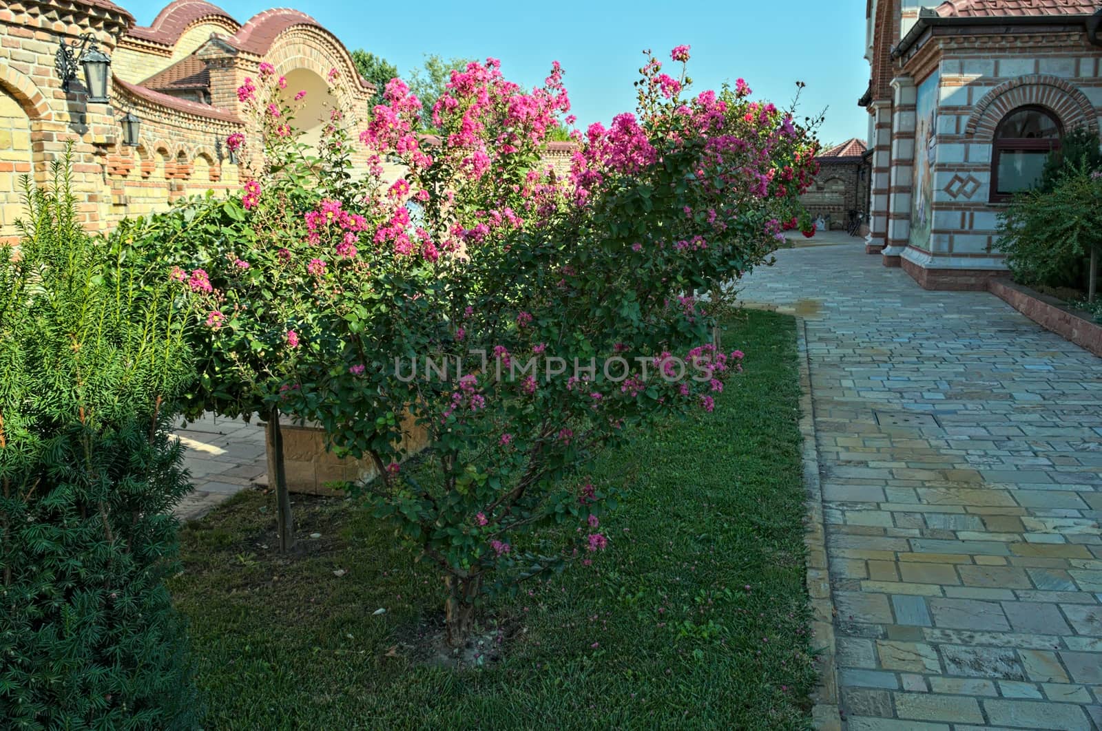 Small garden with decorative plants at monastery in Kac, Serbia