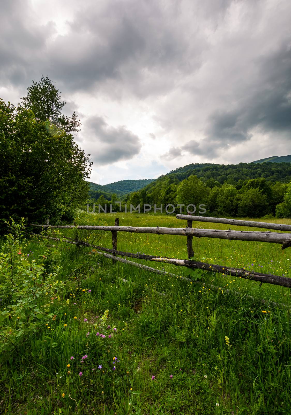wooden fence on a rural meadow in mountains by Pellinni