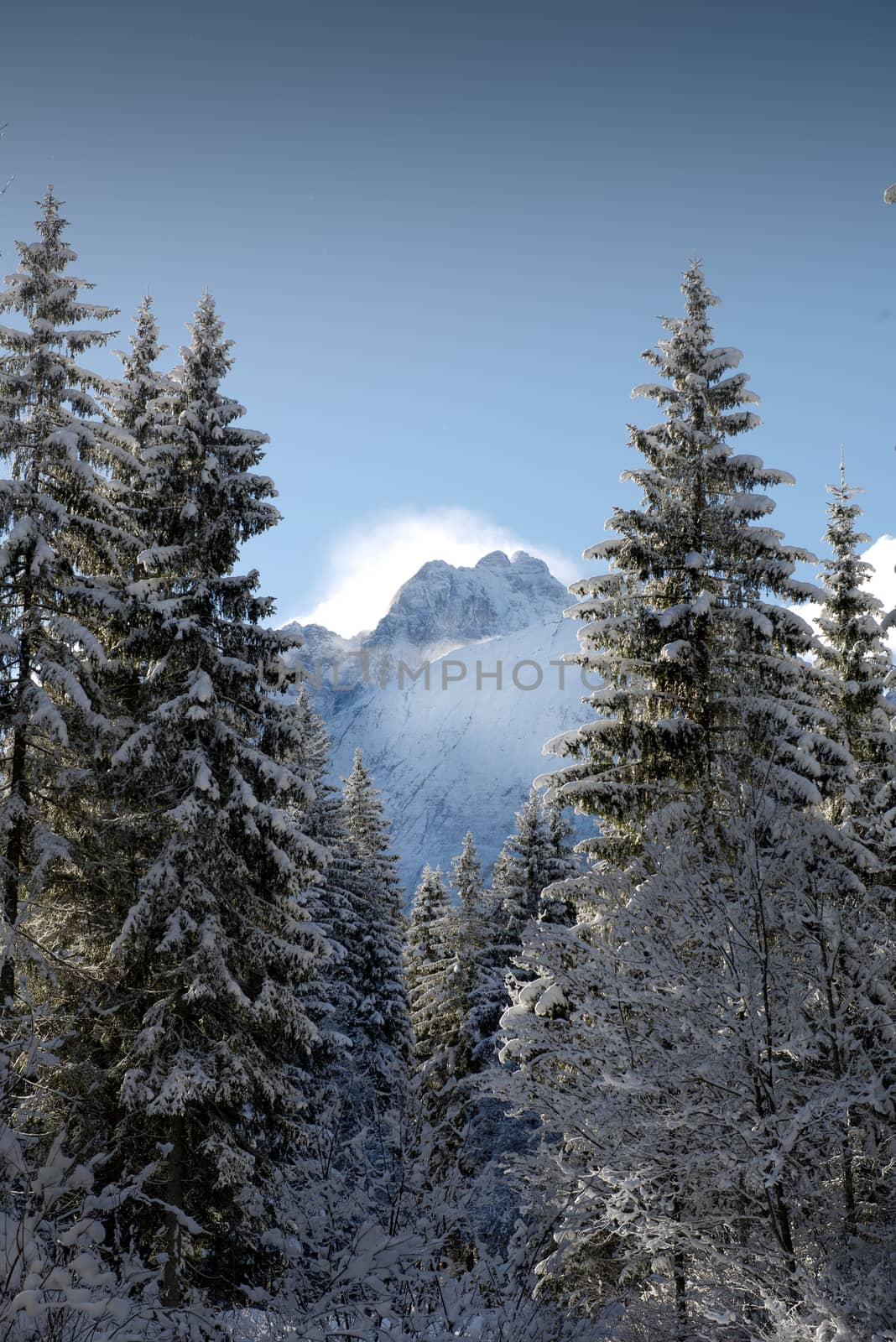 mountain winter landscape covered by snow