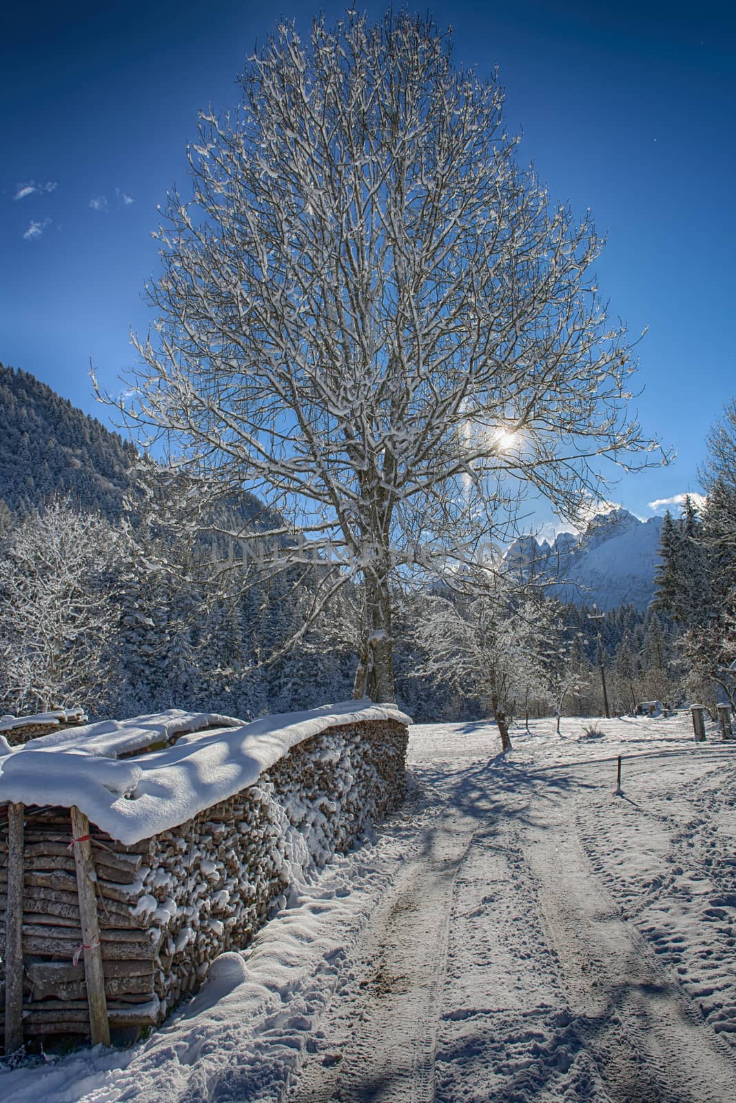 a snow-covered landscape in an alpine valley