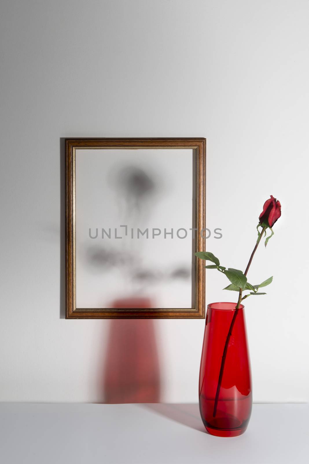 Red rose in a red pot with a frame in the background