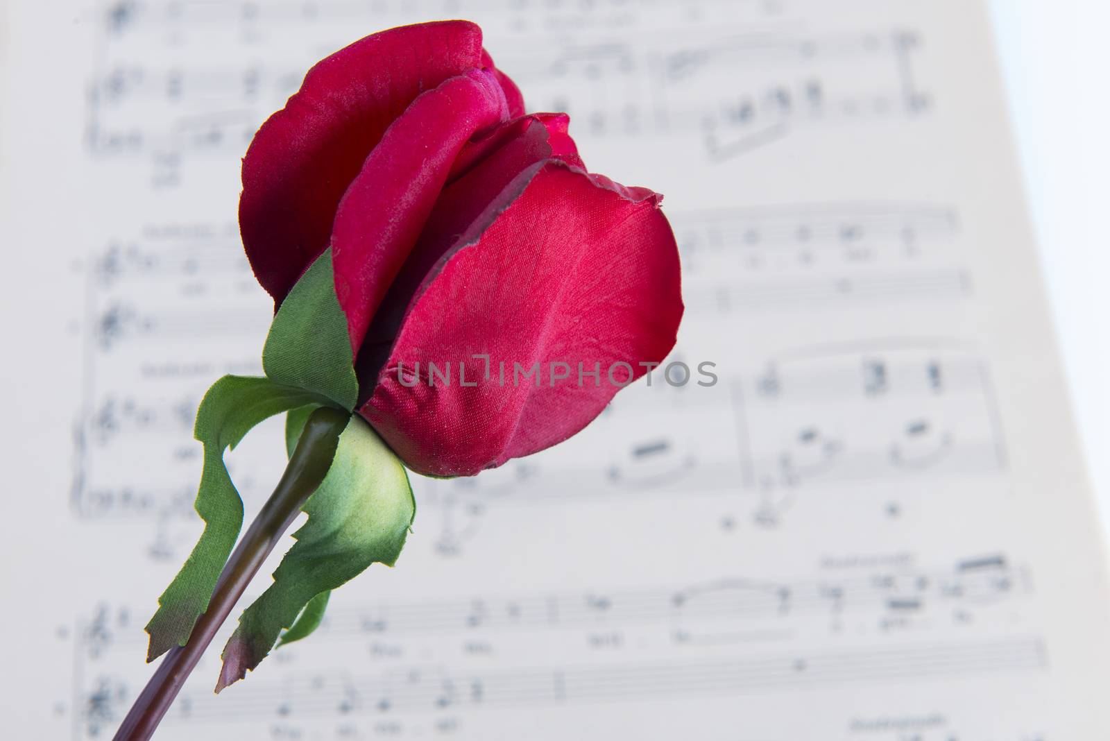 pages of the musical score with a red rose