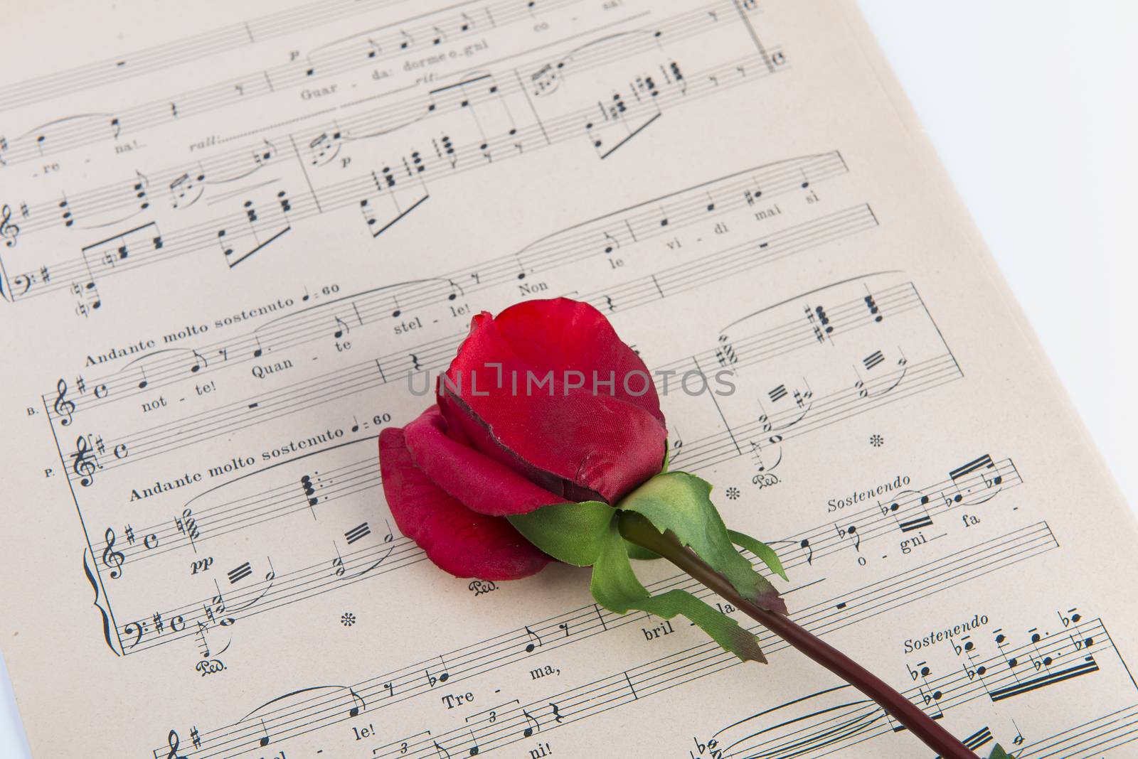 pages of the musical score with a red rose