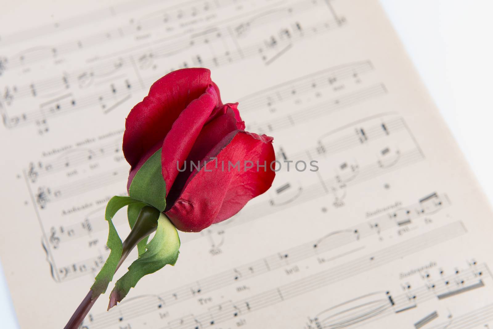pages of the musical score with a red rose
