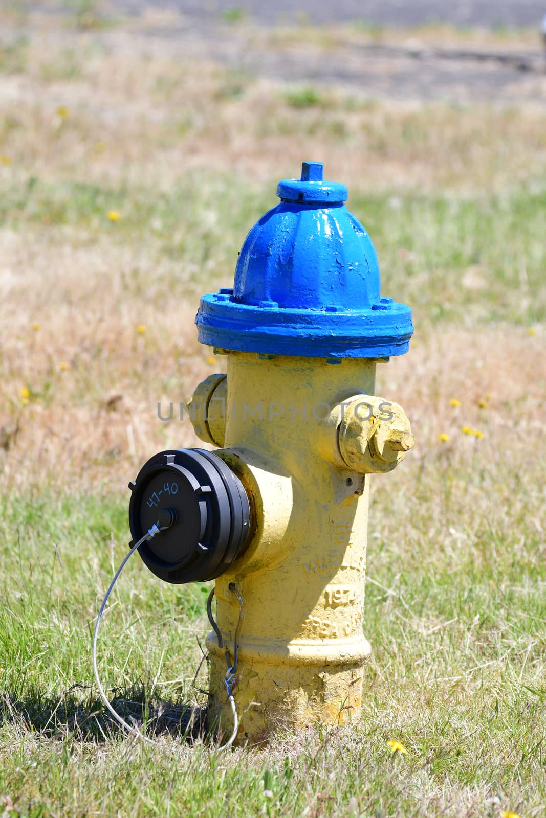 Fire hydrant standing on lawn in bright sunshine