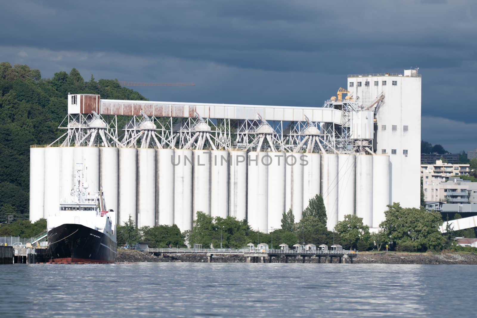 At the north end of Seattle's waterfront, the grain terminal is temporary home to many bulk carriers each year.